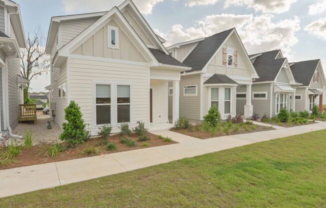 Beautiful New Construction 3/2.5 Home, Located off Centerville in Canopy Subdivision