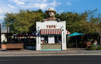 Topo in Downtown Gilbert serves delicious burritos, street corn, and soft serve with unique dips.