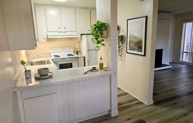 1 bed, 1 bath, 531 sqft, $1,650, Unit 143114