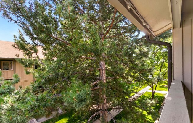 Great Condo near CSU