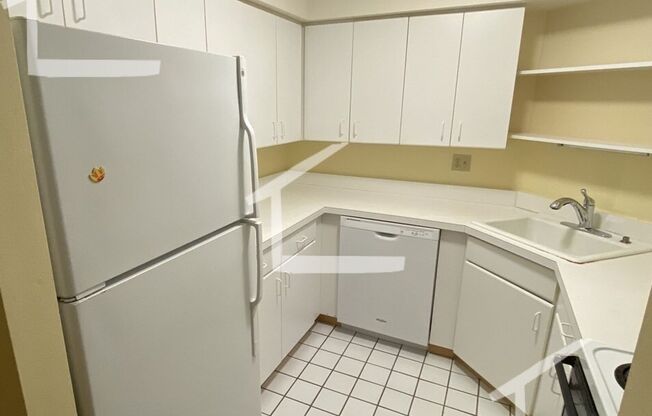 Unique Coolidge Corner apartment
