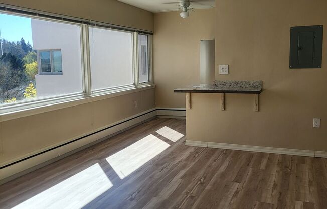 1 bed, 1 bath, 518 sqft, $1,500, Unit 608