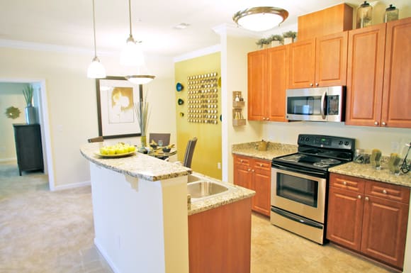 Gourmet Kitchen with Stainless Steel Appliances and Vinyl Tile Floors