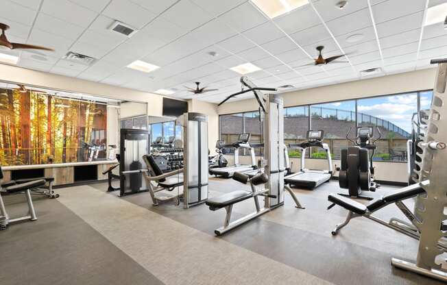 a large fitness room with treadmills and other exercise equipment
