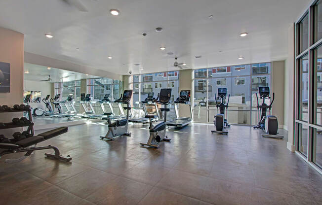 Ritz Classic Fitness Center with Cardio Machines, Weidner Real Estate Properties