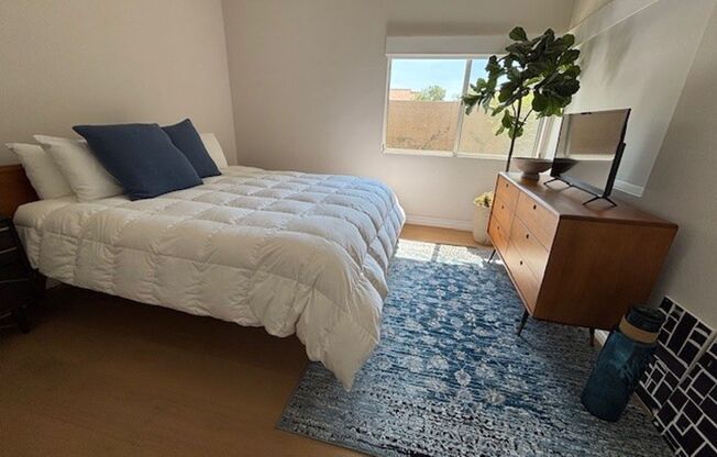 3 Bedroom 2 Bath Short Term Rental August through October
