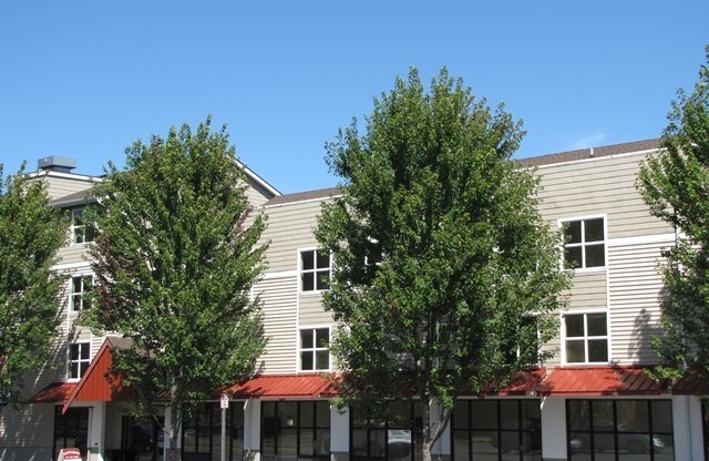 Santorini at the Park Apartments