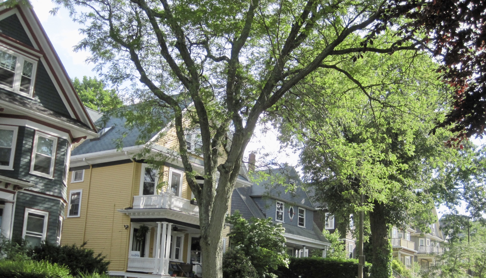 Single Family Dorchester Homes