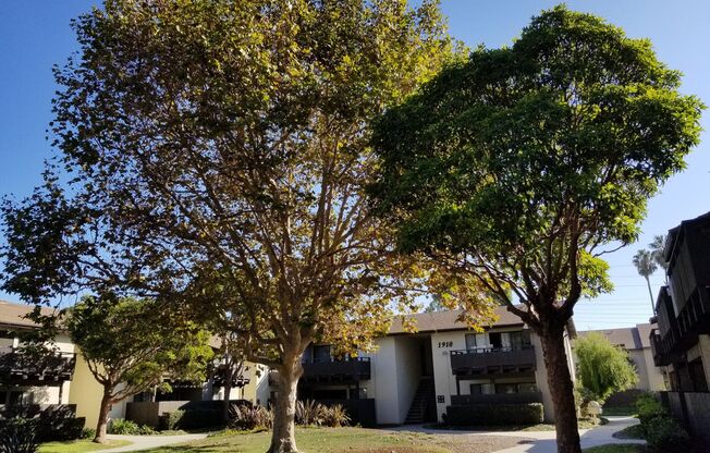 1 bed, 1 bath, 832 sqft, $2,225, Unit 121