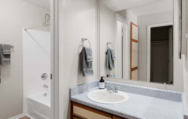 Bathroom with extended vanity, large mirror, and tub-shower combination in a bright neutral palette.