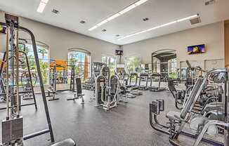 A gym with a variety of equipment including treadmills, weights, and exercise machines.