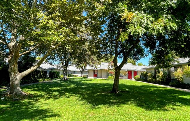 1 bed, 1 bath, 700 sqft, $1,349, Unit 12