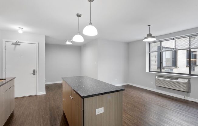 1 bed, 1 bath, 307 sqft, $1,995, Unit 523