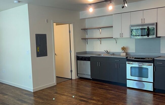 Studio, 1 bath, 518 sqft, $2,449, Unit 309