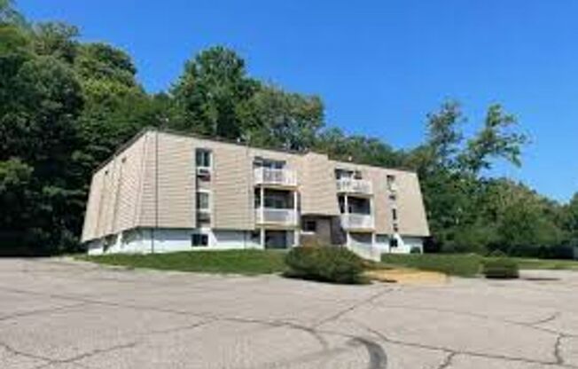 Newly Renovated Apartments