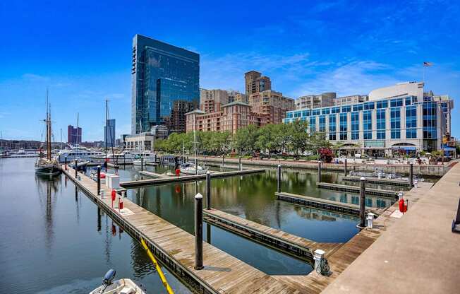 A marina with boats and buildings in the background at 1305 Dock Street, Baltimore, MD, 21231