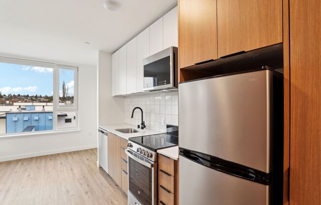 Studio, 1 bath, 287 sqft, $1,500, Unit 315