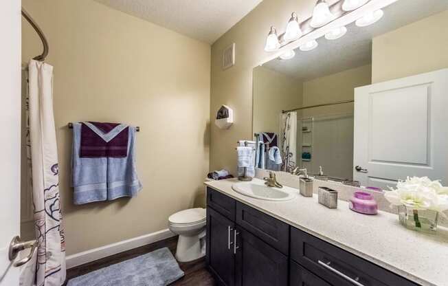 Luxurious Bathroom at The Oasis at 301 Luxury Apartment Homes, Riverview, FL