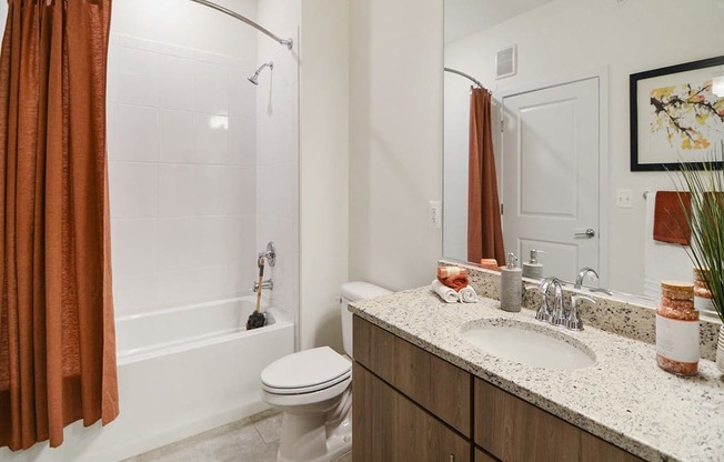 a bathroom with a shower toilet and sink and a mirror