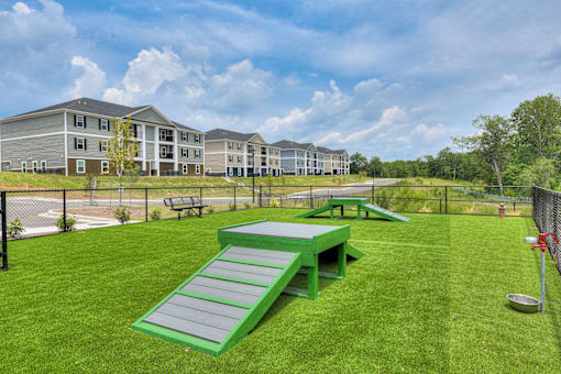 Dog park with ramp at MacArthur Park, Augusta