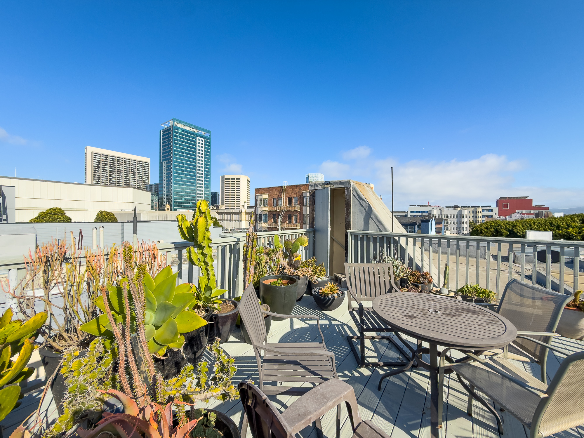 254 IVY ST