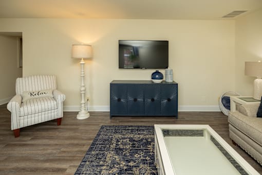 A living room with a chair, a sofa, a television, and a rug.