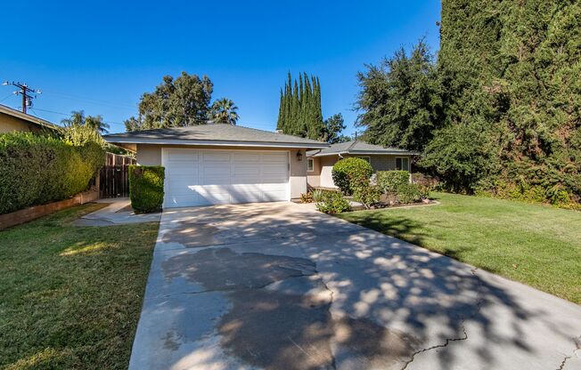 Updated 3 Bedroom Home in Quiet Street