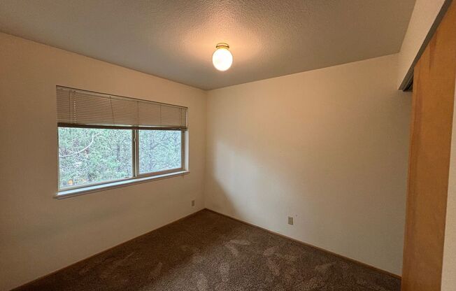 1 bed, 1 bath, $1,500, Unit #5