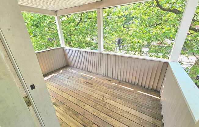 Spacious Multi-Family Apartments for Rent in the Heart of New Haven!