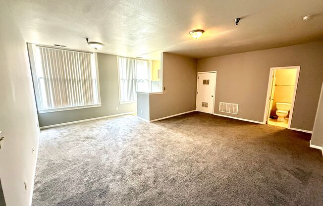 3 beds, 2 baths, 1,115 sqft, $1,295, Unit 305 S 16th St. - Unit 504