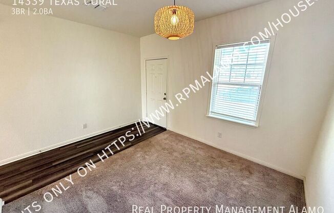 14339 TEXAS CORAL