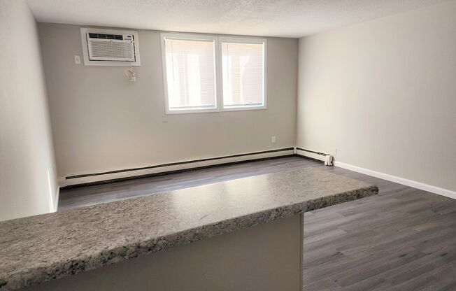 Studio, 1 bath, 355 sqft, $650, Unit 65