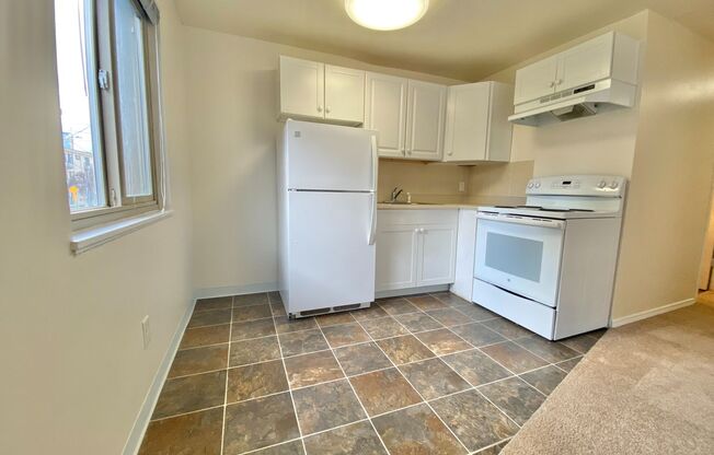 1 bed, 1 bath, 473 sqft, $1,495, Unit 205