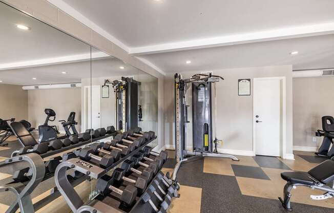 A well-equipped gym with treadmills, weights, and exercise machines.