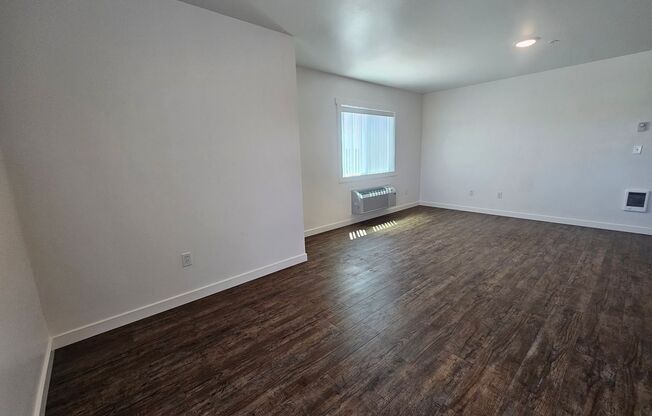 1 bed, 1 bath, $1,300, Unit 202