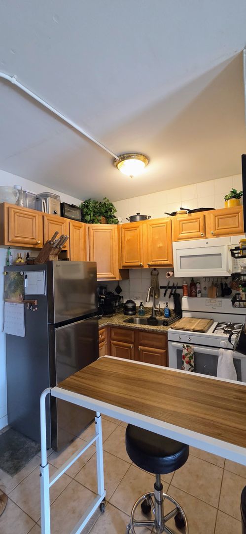 Studio, 1 bath, $1,200, Unit 107