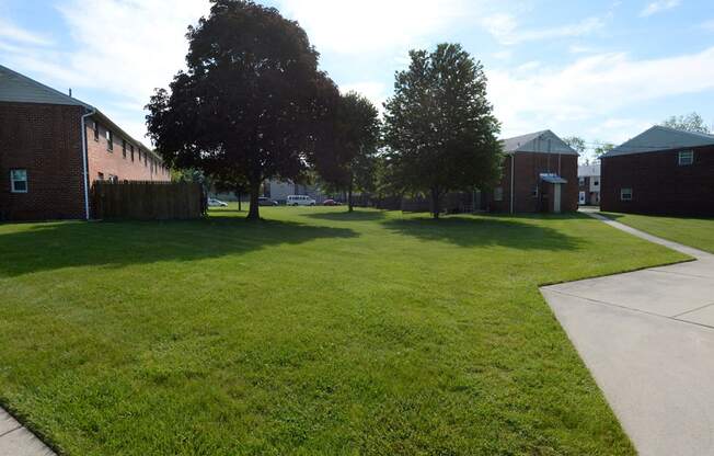 Scenic and mature landscape