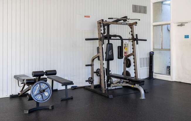 a home gym with weights and cardio equipment