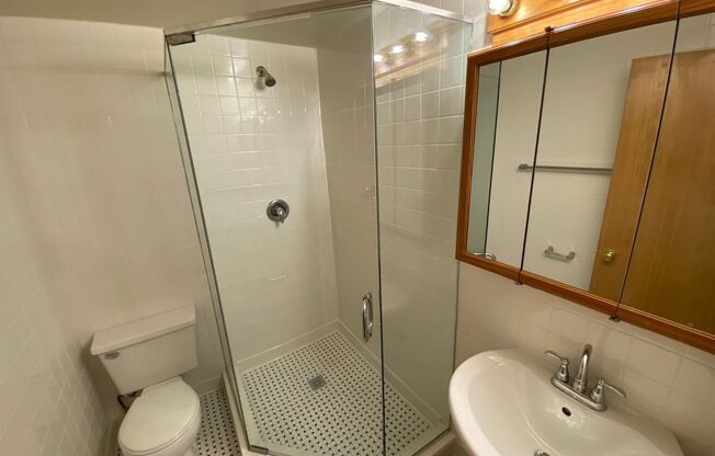 Studio, 1 bath, 300 sqft, $1,545, Unit 620-202