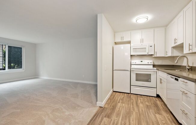 1 bed, 1 bath, 540 sqft, $1,495