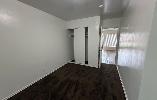 1 bed, 1 bath, 382 sqft, $1,595, Unit 3