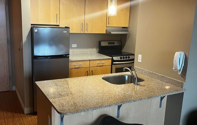 Studio, 1 bath, 350 sqft, $1,450