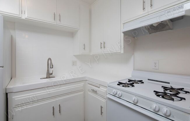 OPEN HOUSE: 2/7 12:30-1:30PM - Remodeled 2 BR with Parking!