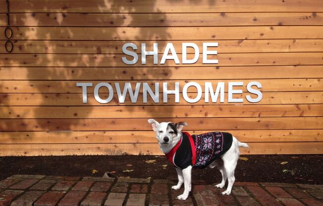 Shade Townhomes, LLC
