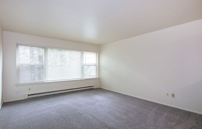 Avante Apartments - Charming, Centrally Located Building with Off Street Parking!