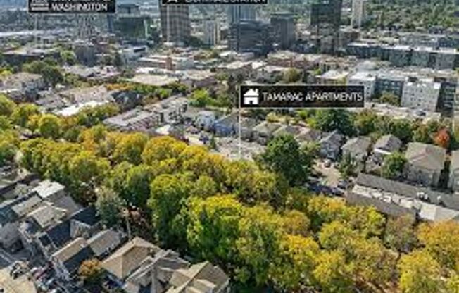 1 bed, 1 bath, 650 sqft, $1,695, Unit 28