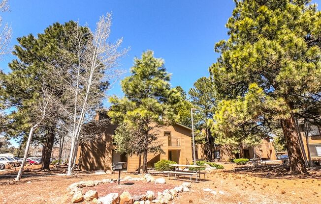 BBQ Grill area at University West Apartments in Flagstaff AZ 2021