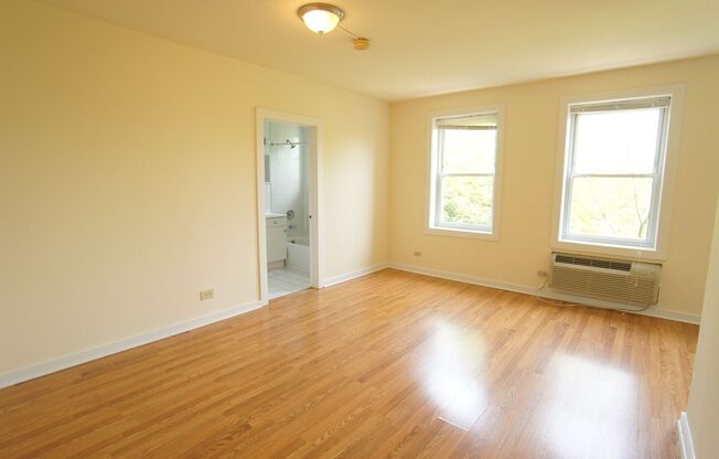 1 bed, 1 bath, 579 sqft, $1,595, Unit 202