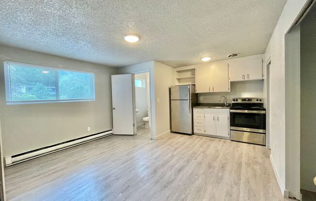 Studio, 1 bath, 250 sqft, $1,195, Unit 11