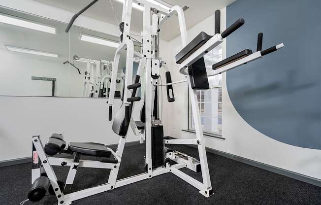 fitness center weight equipment